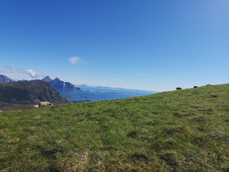 Glamping Lofoten Hotel Kongsjorda Exterior foto